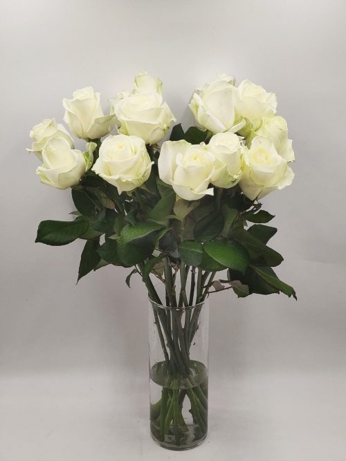 witte rozen bestellen