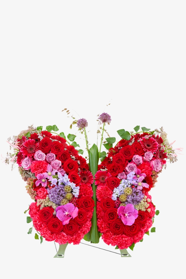 Vlinder van liefde